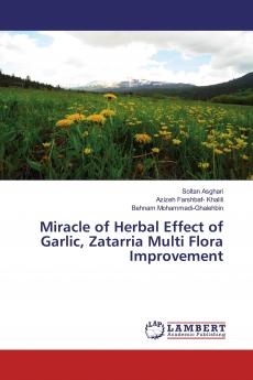 Miracle of Herbal Effect of Garlic Zatarria Multi Flora Improvement