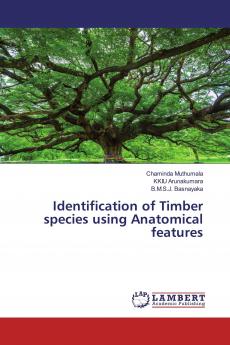 Identification of Timber species using Anatomical features