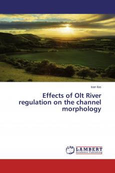 Effects of Olt River regulation on the channel morphology