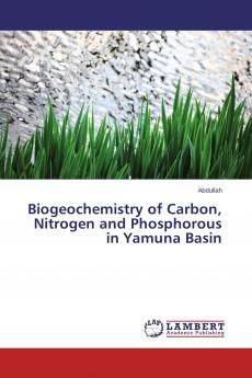Biogeochemistry of Carbon Nitrogen and Phosphorous in Yamuna Basin