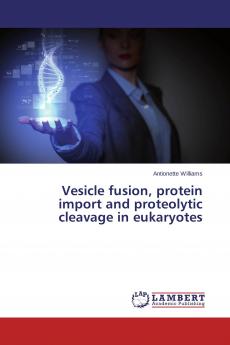 Vesicle fusion protein import and proteolytic cleavage in eukaryotes