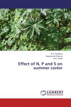 Effect of N P and S on summer castor