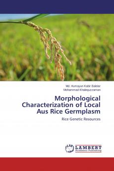 Morphological Characterization of Local Aus Rice Germplasm