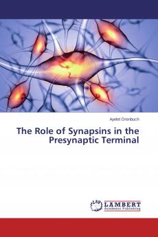 The Role of Synapsins in the Presynaptic Terminal