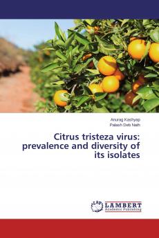Citrus tristeza virus