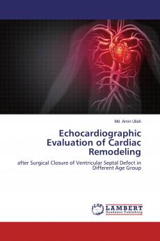 Echocardiographic Evaluation of Cardiac Remodeling