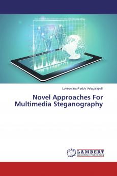 Novel Approaches For Multimedia Steganography