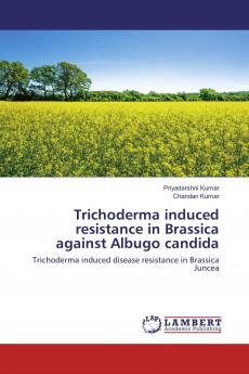 Trichoderma induced resistance in Brassica against Albugo candida
