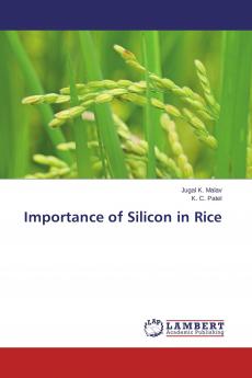 Importance of Silicon in Rice