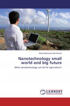Nanotechnology small world and big future