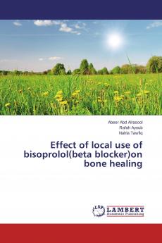 Effect of local use of bisoprolol(beta blocker)on bone healing