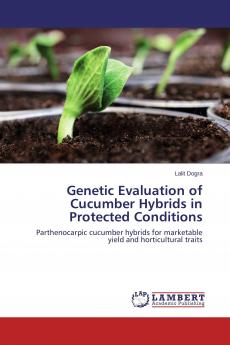 Genetic Evaluation of Cucumber Hybrids in Protected Conditions