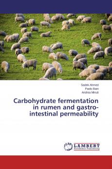 Carbohydrate fermentation in rumen and gastro-intestinal permeability