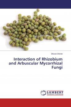 Interaction of Rhizobium and Arbuscular Mycorrhizal Fungi