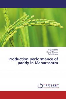 Production performance of paddy in Maharashtra
