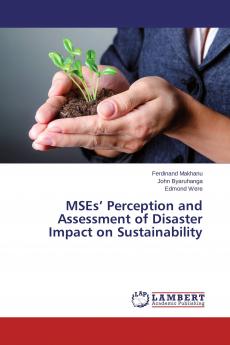 MSEs' Perception and Assessment of Disaster Impact on Sustainability