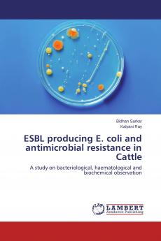 ESBL producing E. coli and antimicrobial resistance in Cattle