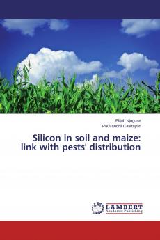 Silicon in soil and maize