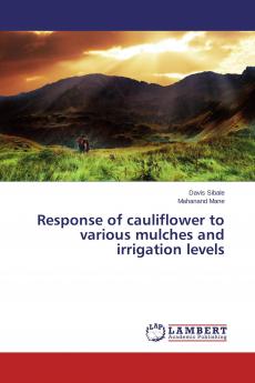 Response of cauliflower to various mulches and irrigation levels