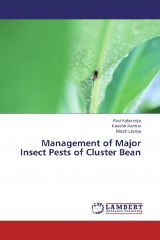 Management of Major Insect Pests of Cluster Bean