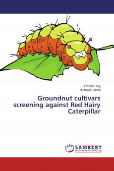 Groundnut cultivars screening against Red Hairy Caterpillar