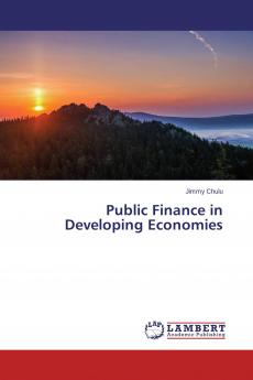 Public Finance in Developing Economies