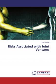 Risks Associated with Joint Ventures