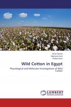 Wild Cotton in Egypt