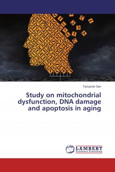 Study on mitochondrial dysfunction DNA damage and apoptosis in aging