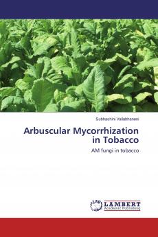Arbuscular Mycorrhization in Tobacco