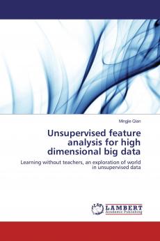 Unsupervised feature analysis for high dimensional big data