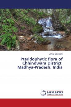 Pteridophytic flora of Chhindwara District Madhya-Pradesh India