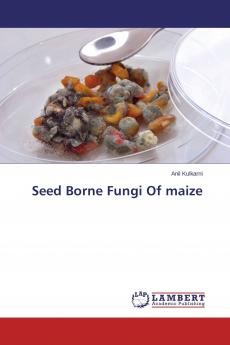 Seed Borne Fungi Of maize
