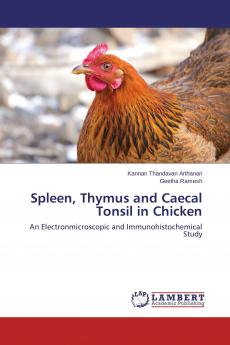 Spleen Thymus and Caecal Tonsil in Chicken