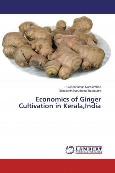 Economics of Ginger Cultivation in KeralaIndia