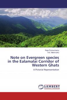 Note on Evergreen species in the Ealamalai Corridor of Western Ghats