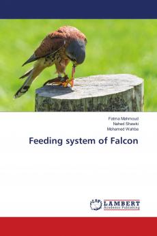 Feeding system of Falcon
