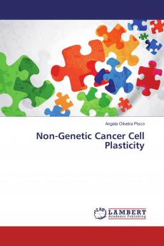Non-Genetic Cancer Cell Plasticity