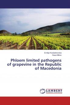 Phloem limited pathogens of grapevine in the Republic of Macedonia