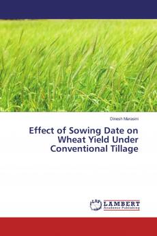 Effect of Sowing Date on Wheat Yield Under Conventional Tillage