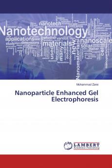 Nanoparticle Enhanced Gel Electrophoresis