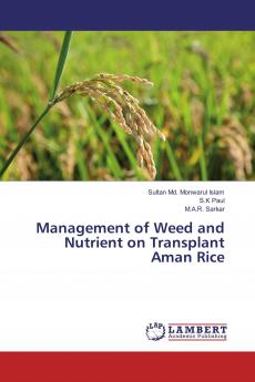 Management of Weed and Nutrient on Transplant Aman Rice