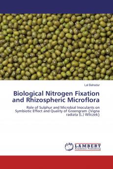 Biological Nitrogen Fixation and Rhizospheric Microflora