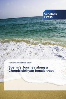 Sperm's Journey along a Chondrichthyan female tract