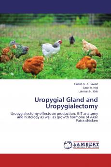 Uropygial Gland and Uropygialectomy