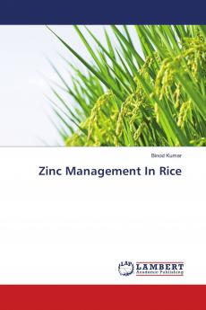 Zinc Management In Rice