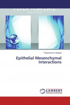 Epithelial Mesenchymal Interactions