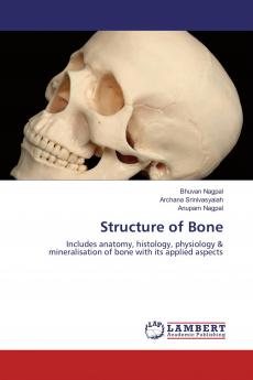 Structure of Bone