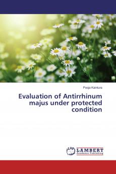 Evaluation of Antirrhinum majus under protected condition