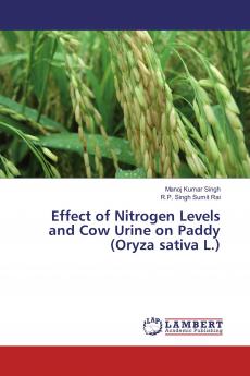Effect of Nitrogen Levels and Cow Urine on Paddy (Oryza sativa L.)